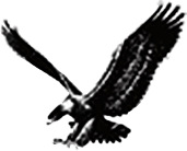 icône aigle